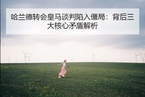 ha-lan-de-zhuan-hui-huang-ma-tan-pan-xian-ru-jiang-ju-bei-hou-san-da-he-xin-mao-dun-jie-xi-2-227.jpg
